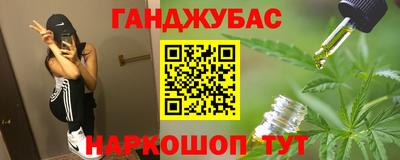 амф Кингисепп