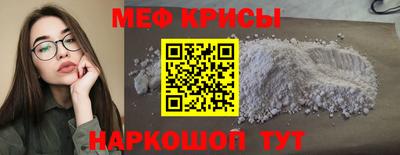 амф Кингисепп